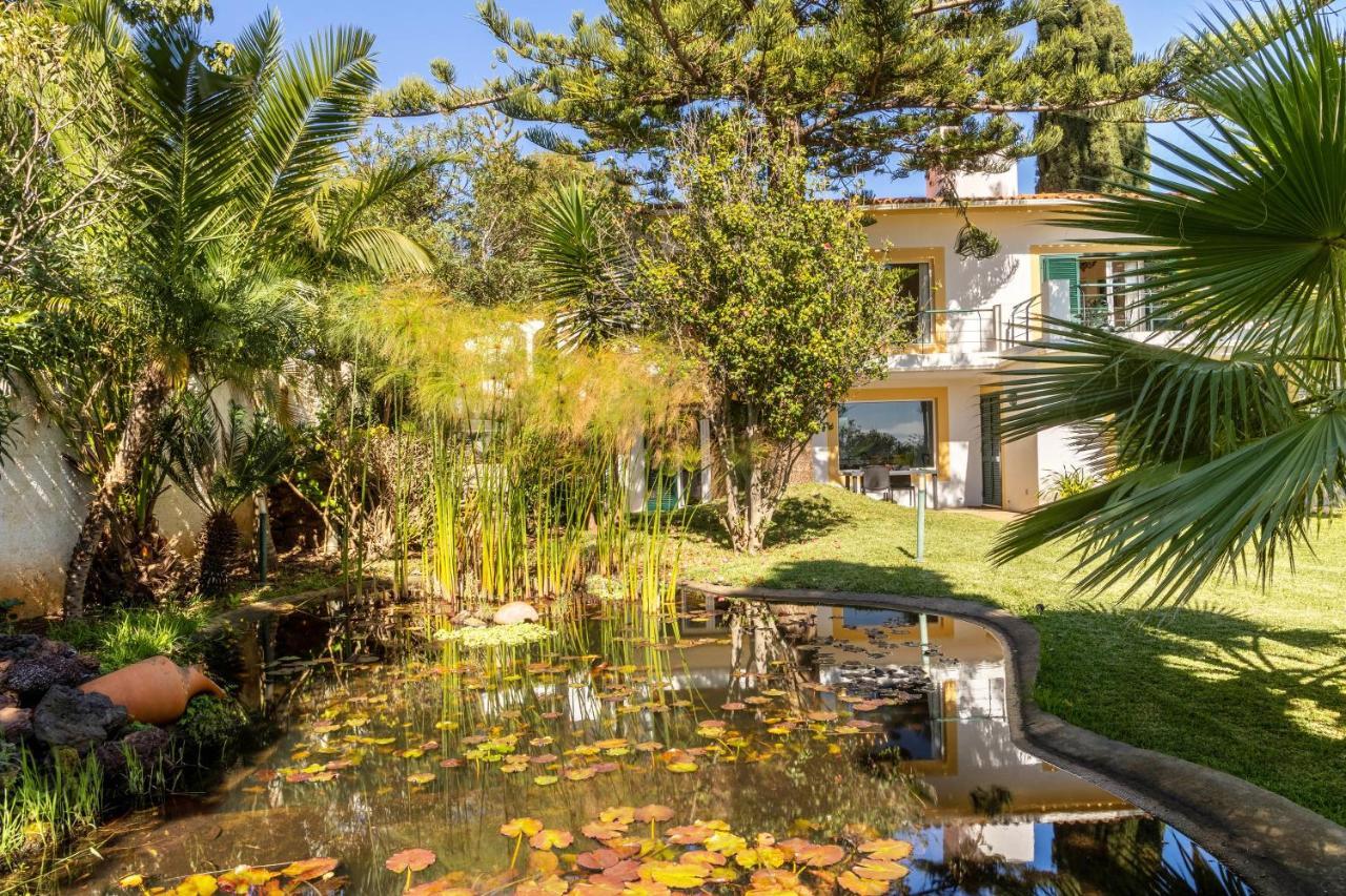 Villa Echium T1 卡尼索 外观 照片