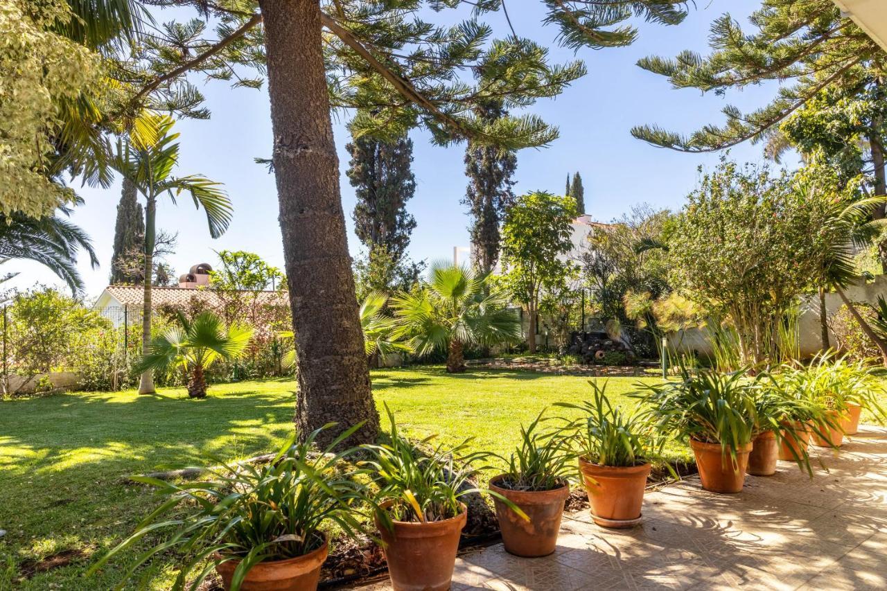 Villa Echium T1 卡尼索 外观 照片